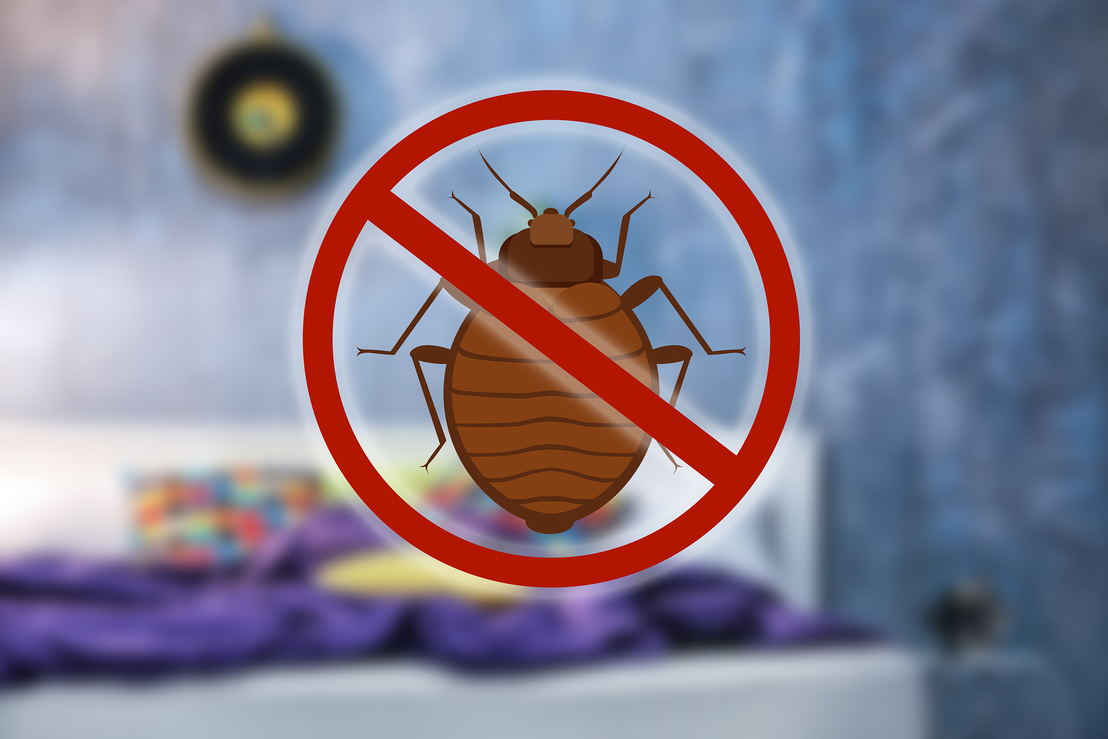 DIY Bed Bug Treatment - Kansas Bed Bugs | 316-448-1187